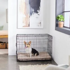 Frisco Swirl Dog Crate Mat -Pet Products Shop 110506 PT5. AC SS1800 V1635258765