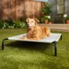 Frisco Steel-Framed Elevated Dog Bed 1 Frisco Steel-Framed Elevated Dog Bed -Pet Products Shop 112076 MAIN. AC SS1800 V1674156718