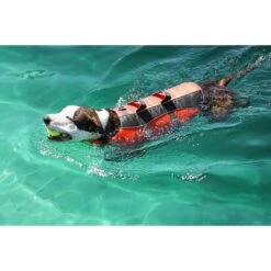 Frisco Ripstop Dog Life Jacket 19 Frisco Ripstop Dog Life Jacket -Pet Products Shop 140919 PT8. AC SS1800 V1540476454