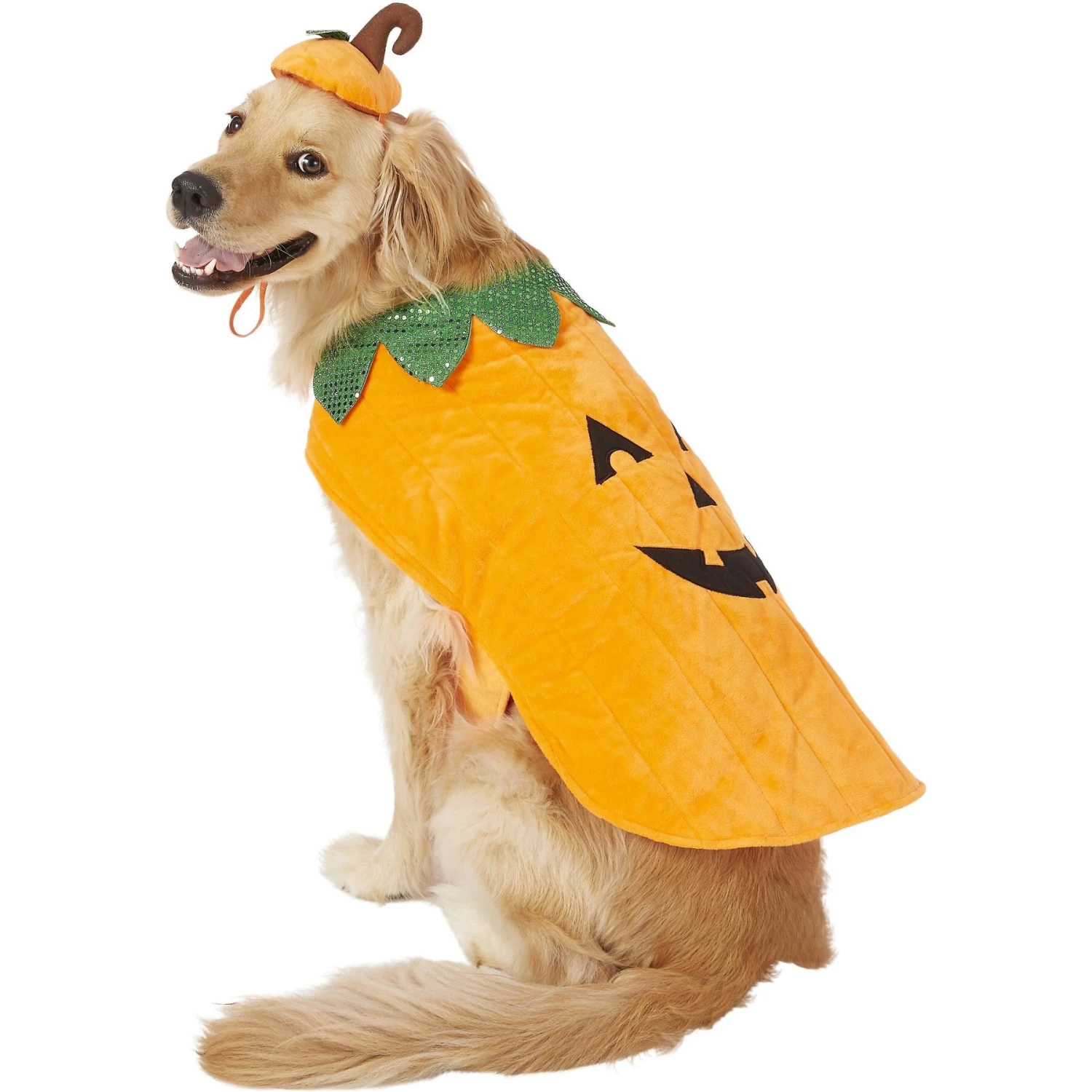 Frisco Pumpkin Dog & Cat Costume 3 Frisco Pumpkin Dog & Cat Costume
