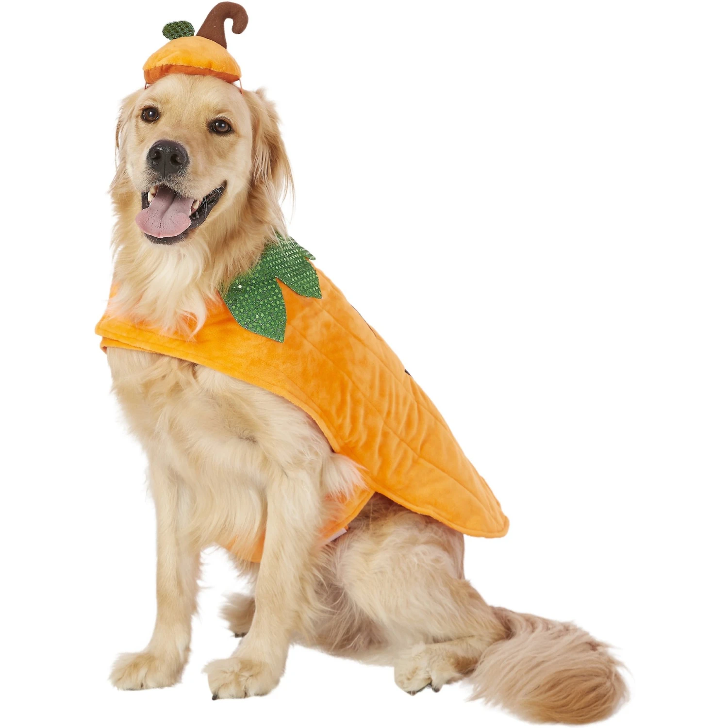 Frisco Pumpkin Dog & Cat Costume 5 Frisco Pumpkin Dog & Cat Costume - Image 3
