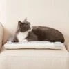 Frisco Reversible Square Cat Pad -Pet Products Shop 144826 MAIN. AC SS1800 V1566936429