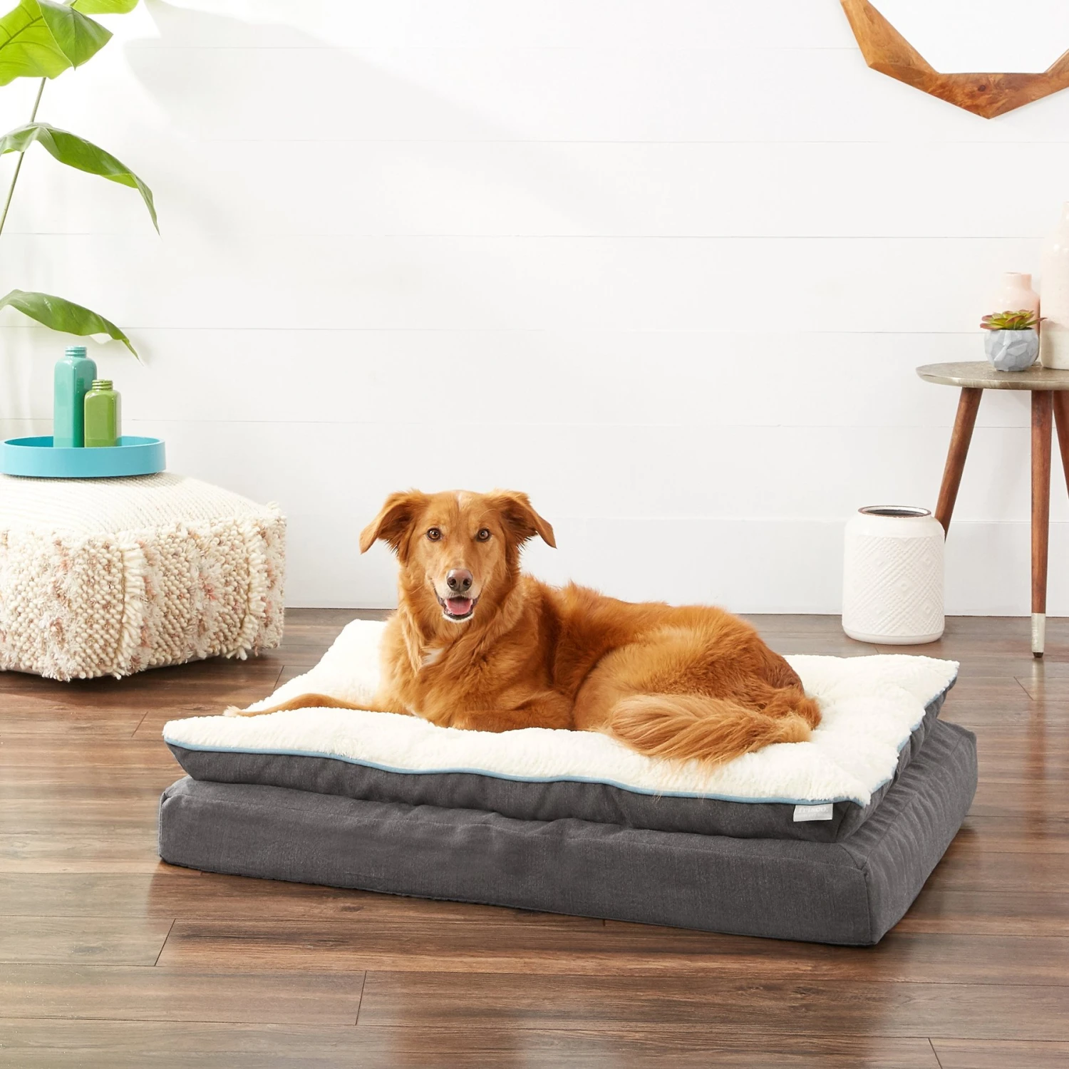 Frisco Plush Orthopedic Pillowtop Dog Bed W/Removable Cover 3 Frisco Plush Orthopedic Pillowtop Dog Bed W/Removable Cover