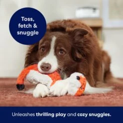 Frisco Fox Skinny Plush Squeaky Dog Toy -Pet Products Shop 147049 PT5. AC SS1800 V1691776638