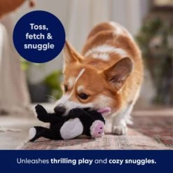Frisco Cow Textured Plush Squeaky Dog Toy -Pet Products Shop 147059 PT5. AC SS1800 V1691776636