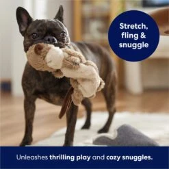 Frisco Beaver Bungee Plush Squeaky Dog Toy 12 Frisco Beaver Bungee Plush Squeaky Dog Toy -Pet Products Shop 152824 PT5. AC SS1800 V1686580146