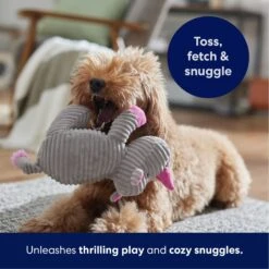 Frisco Rhino Corduroy Plush Squeaky Dog Toy -Pet Products Shop 152828 PT4. AC SS1800 V1695659205