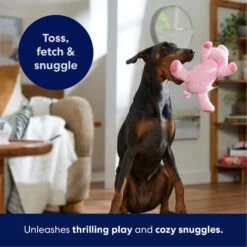 Frisco Corduroy Plush Squeaking Pig Dog Toy -Pet Products Shop 152832 PT4. AC SS1800 V1695671001