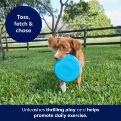 Frisco Fetch Rubber Flyer Dog Toy -Pet Products Shop 152848 PT5. AC SS1800 V1692370079