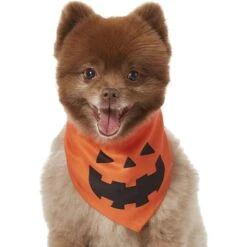 Frisco Jack O' Lantern Pumpkin Dog & Cat Bandana -Pet Products Shop 158934 PT2. AC SS1800 V1690828662