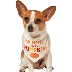 Frisco Mommy's Lil Pumpkin Dog & Cat Bandana -Pet Products Shop 158936 PT2. AC SS1800 V1689629423