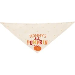 Frisco Mommy's Lil Pumpkin Dog & Cat Bandana -Pet Products Shop 158936 PT3. AC SS1800 V1689628812