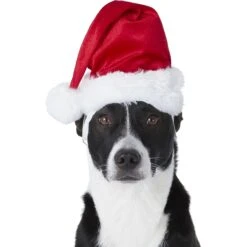 Frisco Holiday Dog & Cat Santa Hat, 1 Count -Pet Products Shop 160054 PT2. AC SS1800 V1669100718