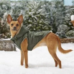 Frisco Mid-Heavyweight Portland Insulated Dog & Cat Parka -Pet Products Shop 160295 PT7. AC SS1800 V1567618265