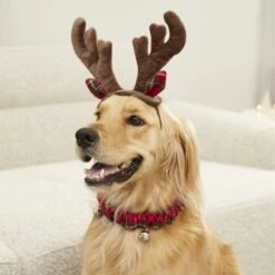 Frisco Holiday Antler Headband & Bell Collar Dog & Cat Costume -Pet Products Shop 160658 PT4. AC SS1800 V1568818037