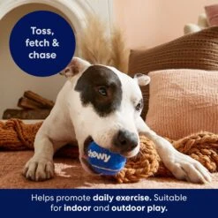 Frisco Chewy Fetch Squeaky Tennis Ball Dog Toy 11 Frisco Chewy Fetch Squeaky Tennis Ball Dog Toy -Pet Products Shop 164314 PT3. AC SS1800 V1691783970