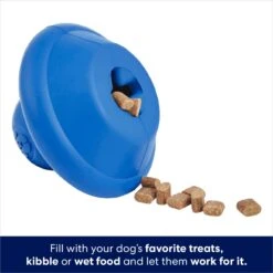 Frisco Flying Saucer Rubber Treat Dispenser Dog Toy 12 Frisco Flying Saucer Rubber Treat Dispenser Dog Toy -Pet Products Shop 164757 PT3. AC SS1800 V1686579570