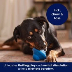 Frisco Flying Saucer Rubber Treat Dispenser Dog Toy 14 Frisco Flying Saucer Rubber Treat Dispenser Dog Toy -Pet Products Shop 164757 PT5. AC SS1800 V1691784247