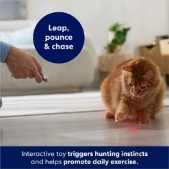 Frisco 2-in-1 Laser & LED Light Laser Cat Toy 9 Frisco 2-in-1 Laser & LED Light Laser Cat Toy -Pet Products Shop 166309 PT3. AC SS1800 V1686579688