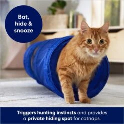 Frisco Foldable Play Tunnel With Mesh Cat Toy -Pet Products Shop 166385 PT2. AC SS1800 V1686580143