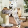 Frisco 24.8-in Heavy Duty Faux Fur Cat Tree -Pet Products Shop 169397 MAIN. AC SS1800 V1680808632