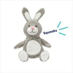 Frisco Bunny Textured Plush Squeaky Dog Toy 10 Frisco Bunny Textured Plush Squeaky Dog Toy -Pet Products Shop 174693 PT2. AC SS1800 V1695670750