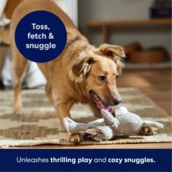 Frisco Bunny Textured Plush Squeaky Dog Toy 12 Frisco Bunny Textured Plush Squeaky Dog Toy -Pet Products Shop 174693 PT4. AC SS1800 V1695671088