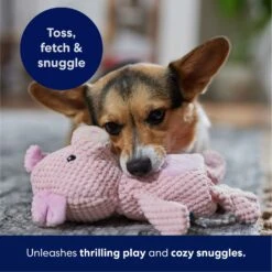 Frisco Pig Textured Plush Squeaky Dog Toy -Pet Products Shop 174695 PT4. AC SS1800 V1695670689
