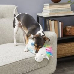Frisco Unicorn Textured Plush Squeaky Dog Toy -Pet Products Shop 174699 PT2. AC SS1800 V1573492386