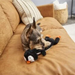 Frisco Penguin Skinny Plush Squeaky Dog Toy 7 Frisco Penguin Skinny Plush Squeaky Dog Toy -Pet Products Shop 174707 PT2. AC SS1800 V1573492672