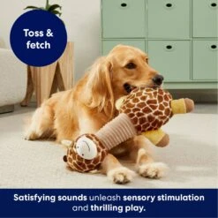 Frisco Giraffe Bobberz Plush Squeaky Dog Toy -Pet Products Shop 174739 PT4. AC SS1800 V1695748355