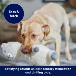 Frisco Llama Bobberz Plush Squeaky Dog Toy -Pet Products Shop 174741 PT4. AC SS1800 V1695671063