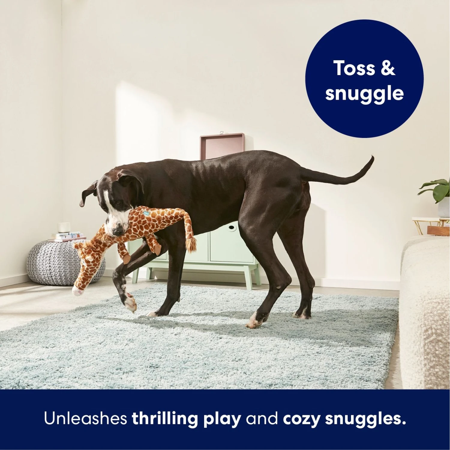 Frisco Giraffe Wagazoo Plush Squeaky Dog Toy 7 Frisco Giraffe Wagazoo Plush Squeaky Dog Toy - Image 5