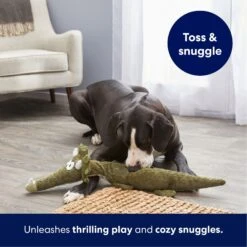 Frisco Triceratops Wagazoo Plush Squeaky Dog Toy -Pet Products Shop 174747 PT4. AC SS1800 V1695748419