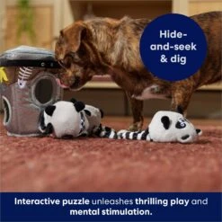 Frisco Trash Can & Raccoons Hide & Seek Puzzle Plush Squeaky Dog Toy 12 Frisco Trash Can & Raccoons Hide & Seek Puzzle Plush Squeaky Dog Toy -Pet Products Shop 174757 PT5. AC SS1800 V1691784248