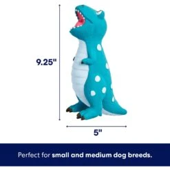 Frisco Dinosaur Latex Squeaky Dog Toy -Pet Products Shop 174770 PT1. AC SS1800 V1686579211