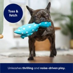 Frisco Dinosaur Latex Squeaky Dog Toy -Pet Products Shop 174770 PT3. AC SS1800 V1686579138