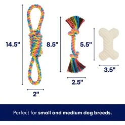 Frisco Jungle Pals Plush & Rope Variety Pack Dog Toy 9 Frisco Jungle Pals Plush & Rope Variety Pack Dog Toy -Pet Products Shop 177819 PT2. AC SS1800 V1686579629