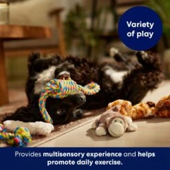 Frisco Jungle Pals Plush & Rope Variety Pack Dog Toy 10 Frisco Jungle Pals Plush & Rope Variety Pack Dog Toy -Pet Products Shop 177819 PT5. AC SS1800 V1691784249