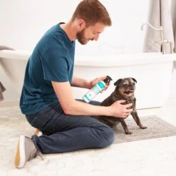 Frisco Aloe Hydrating Dog & Cat Spray, Sweet Nectar Scent 8 Frisco Aloe Hydrating Dog & Cat Spray, Sweet Nectar Scent -Pet Products Shop 192084 PT3. AC SS1800 V1585321073