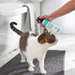 Frisco Aloe Hydrating Dog & Cat Spray, Sweet Nectar Scent 9 Frisco Aloe Hydrating Dog & Cat Spray, Sweet Nectar Scent -Pet Products Shop 192084 PT4. AC SS1800 V1589487682