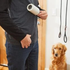 Frisco Dog & Cat Hair Lint Roller Refill 8 Frisco Dog & Cat Hair Lint Roller Refill -Pet Products Shop 206915 PT4. AC SS1800 V1680186155