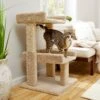 Frisco 32-in Real Carpet Wooden Cat Tree With Toy -Pet Products Shop 208920 MAIN. AC SS1800 V1602682003