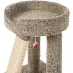 Frisco 24-in Real Carpet Cat Scratching Perch With Toy -Pet Products Shop 208960 PT3. AC SS1800 V1589221651