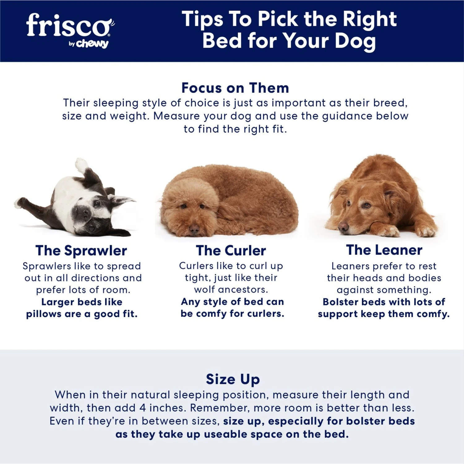 Frisco Cooling Orthopedic Pillow Dog Bed W/Removable Cover 7 Frisco Cooling Orthopedic Pillow Dog Bed W/Removable Cover - Image 5