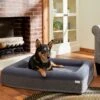 Frisco Orthopedic Rectangular Bolster Cat & Dog Bed W/Removable Cover 1 Frisco Orthopedic Rectangular Bolster Cat & Dog Bed W/Removable Cover -Pet Products Shop 210226 MAIN. AC SS1800 V1590067652