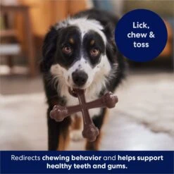 Frisco Bacon Flavor Tough Nylon Dog Chew Toy 12 Frisco Bacon Flavor Tough Nylon Dog Chew Toy -Pet Products Shop 213430 PT5. AC SS1800 V1691783968