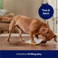 Frisco Frosted Pastry Stuffing-Free Flat Plush Squeaky Dog Toy -Pet Products Shop 213812 PT5. AC SS1800 V1686579088