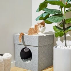 Frisco Single Cube Stackable And Collapsible Cat Condo