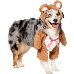 Frisco Front Walking Teddy Bear Dog & Cat Costume 13 Frisco Front Walking Teddy Bear Dog & Cat Costume -Pet Products Shop 215507 PT3. AC SS1800 V1624402415